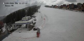 A făcut degeaba oferte. ” Dacă nu se face nimic, Rânca va muri”