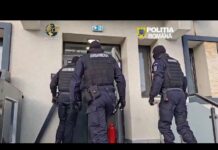 (VIDEO) Rețea de trafic de droguri destructurată în Gorj: 13 persoane reținute după 21 de percheziții