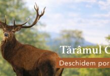 09:59 ”Tărâmul Cerbilor” se deschide la vară